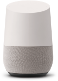 >Google Home