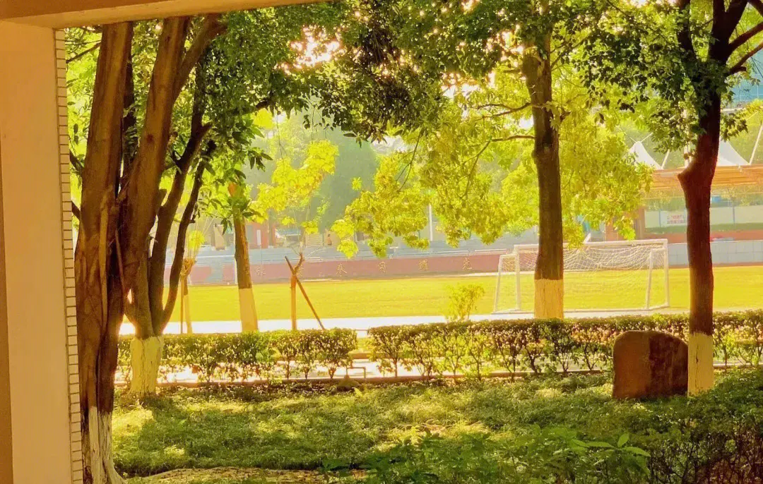 校园情谊通话录:亲情电话见证学子与家人的成长旅程